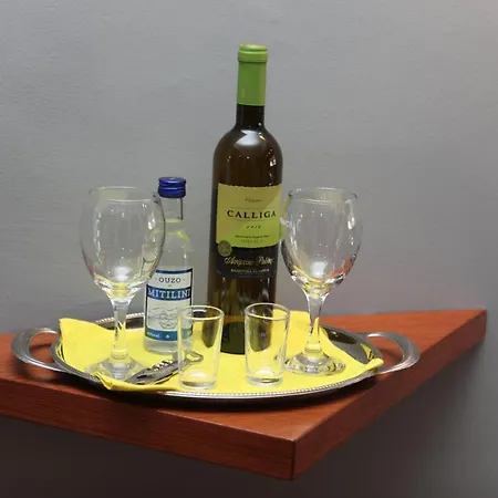 Apartament Egnatia In Front Of The Arch Of Galerius Salonic
